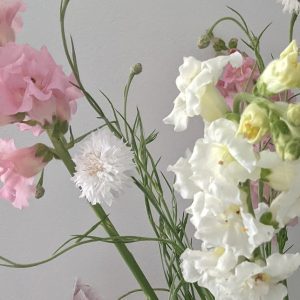 PXL_20240512_134737430