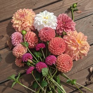 PXL_20250925_155520160_2